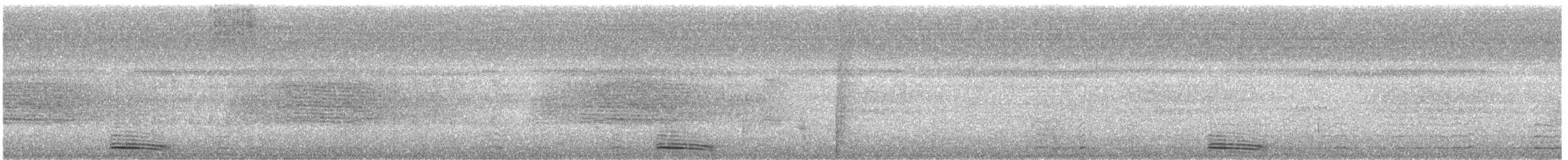 Момот широкодзьобий - ML72468131