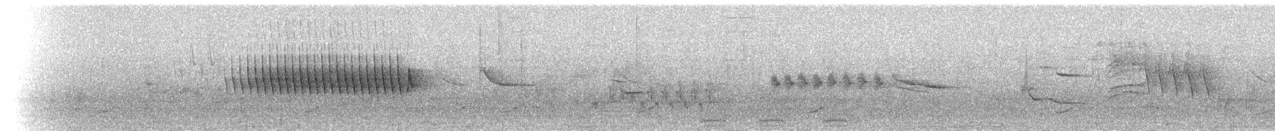 Orange-crowned Warbler - ML72468901