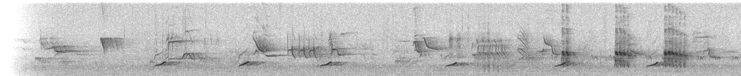 Phainopepla - ML72468991