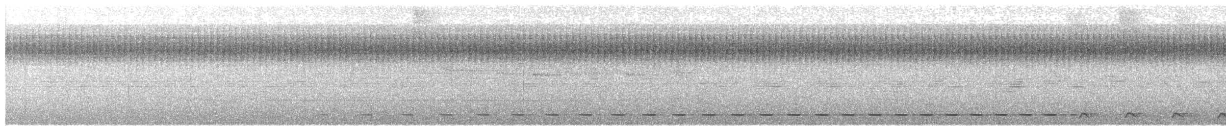 Streifenbrust-Ameisendrossel - ML72497861
