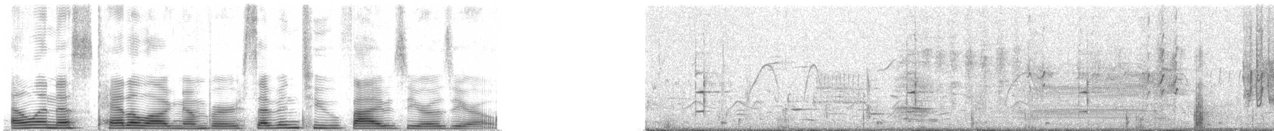 lyska americká (s červeným čelním štítkem) - ML72500