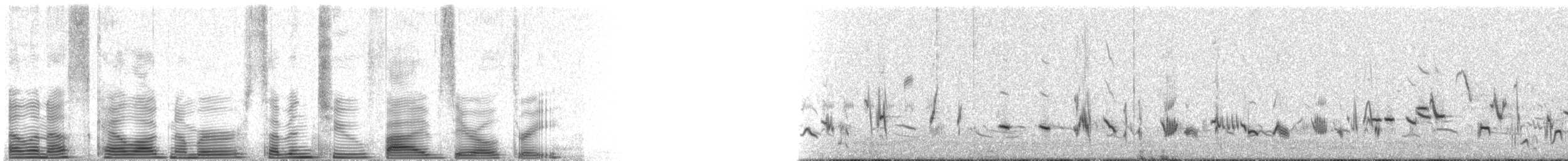 drozdec horský - ML72503