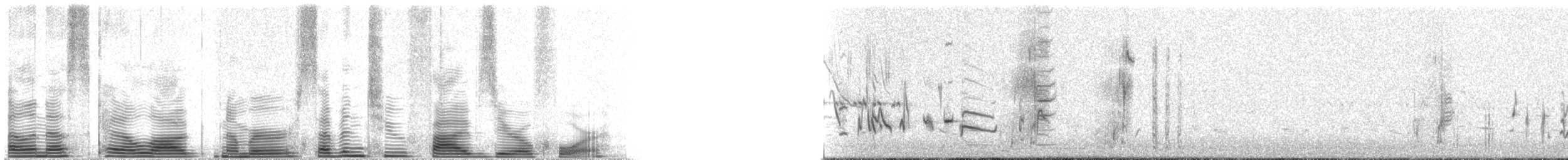Cuitlacoche de las Artemisas - ML72504