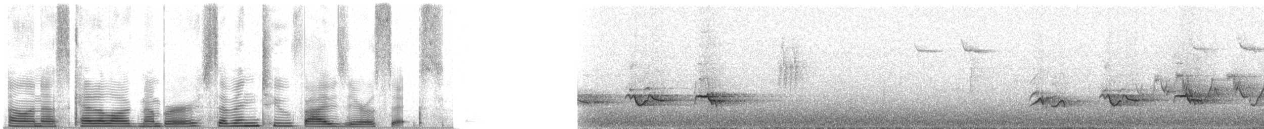 drozd stěhovavý - ML72506