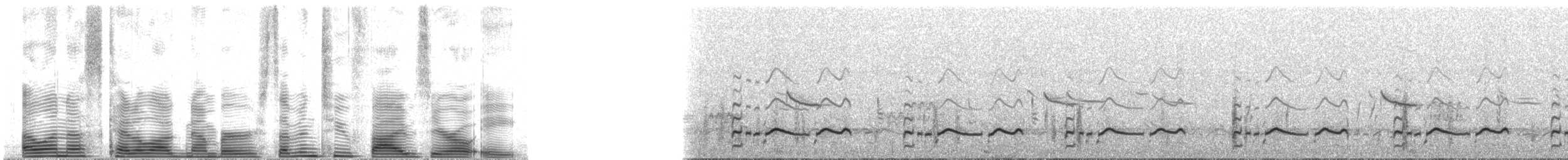 vodouš břehoušovitý - ML72508