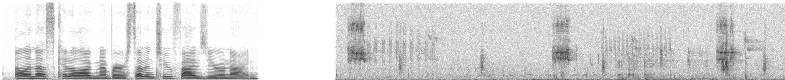 vlhovec žlutohlavý - ML72509