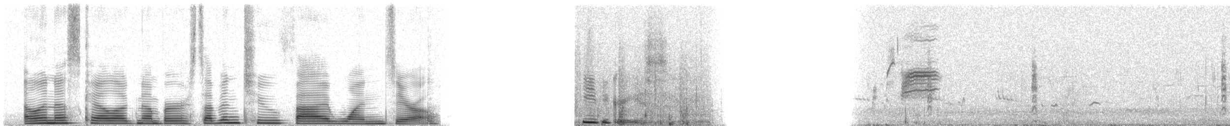 Western Meadowlark - ML72510