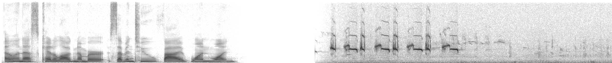 drozdec horský - ML72511