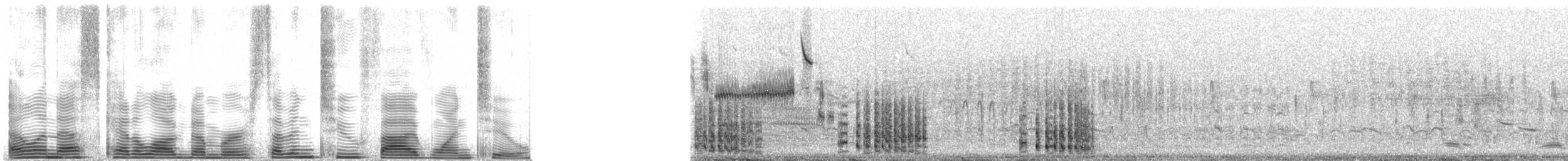 jeřáb kanadský (ssp. tabida/rowani) - ML72512