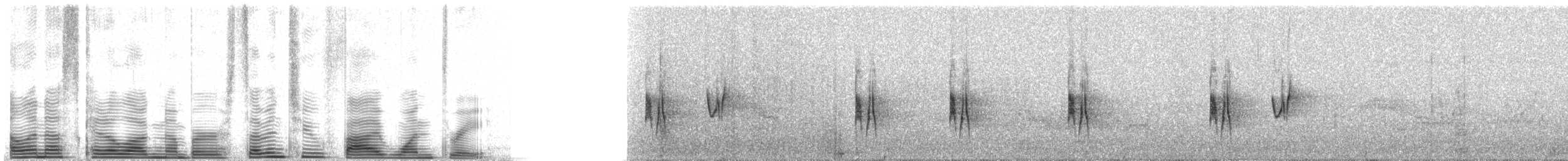 Gray Flycatcher - ML72513