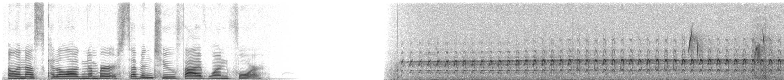 datel zlatý [skupina cafer] - ML72514