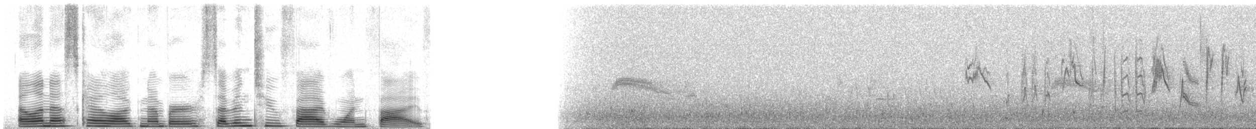 čížek severoamerický - ML72515