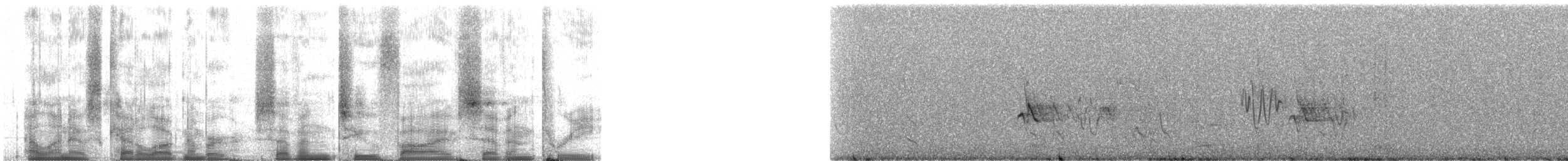 נץ קולני בהיר - ML72573