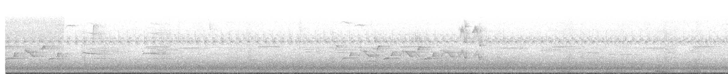 Carolina Wren - ML72584361