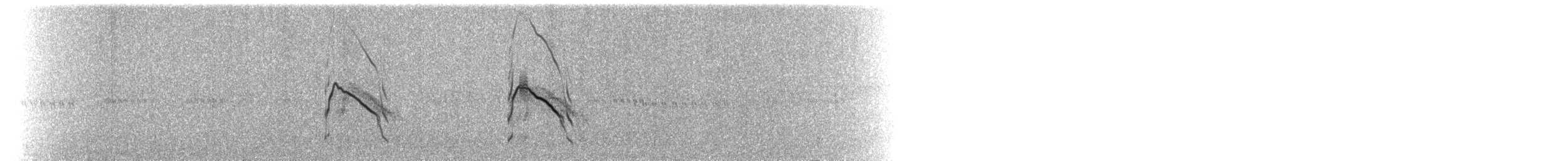 Busard des marais - ML72589331