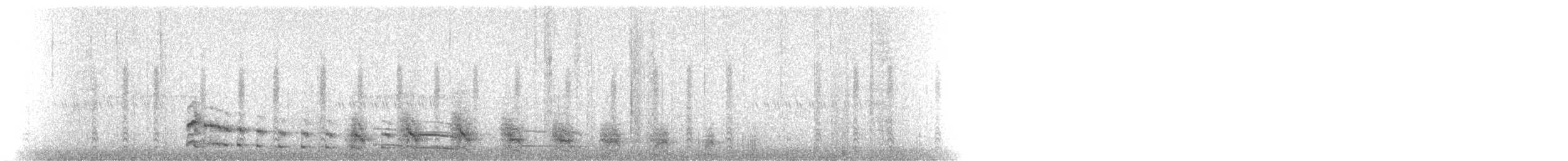 Râle de Virginie - ML72589371