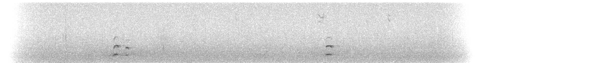 Marouette de Caroline - ML72589571