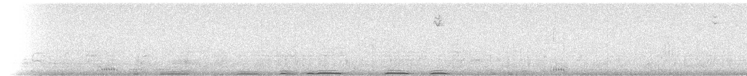 Grand-duc d'Amérique - ML72589841