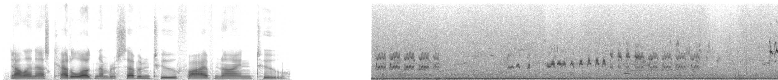 Melodious Lark - ML72592