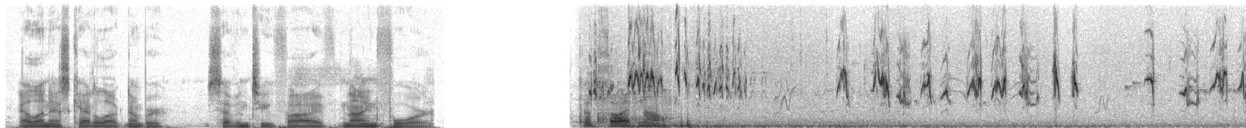 Mirafra sp. - ML72594
