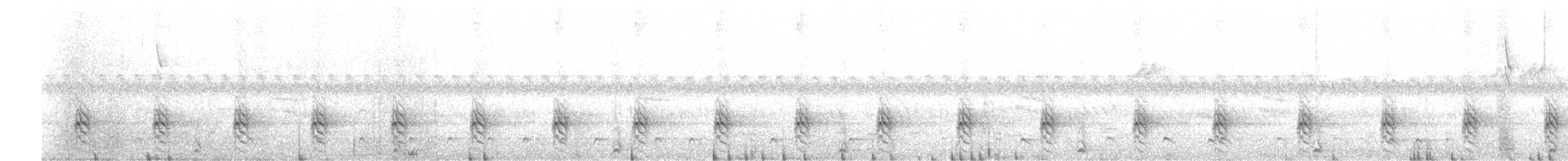 Spot-flanked Barbet - ML72594161
