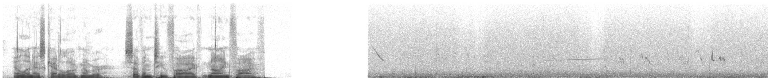 White-quilled Bustard - ML72595