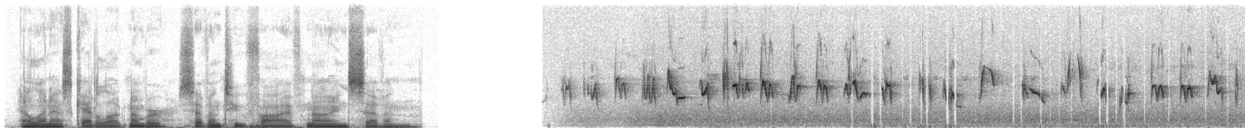 Cape White-eye (Green) - ML72597