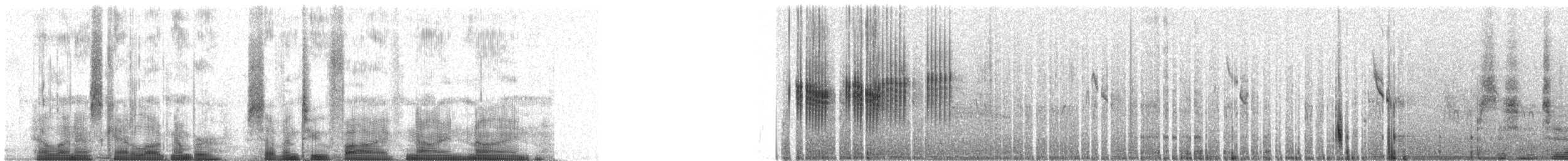 Black-chested Prinia - ML72599