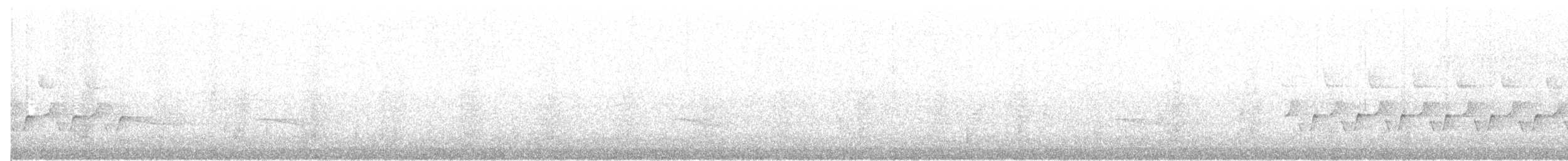 Поплітник каролінський - ML72623451