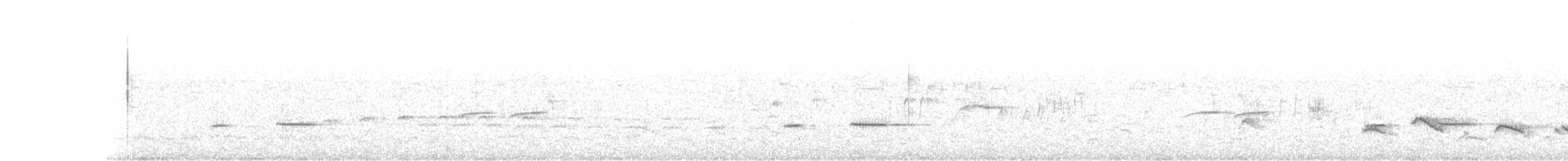 Striped Cuckoo - ML72633071