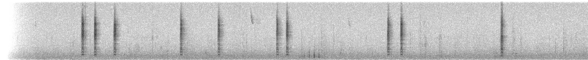 Troglodyte des marais - ML72640201