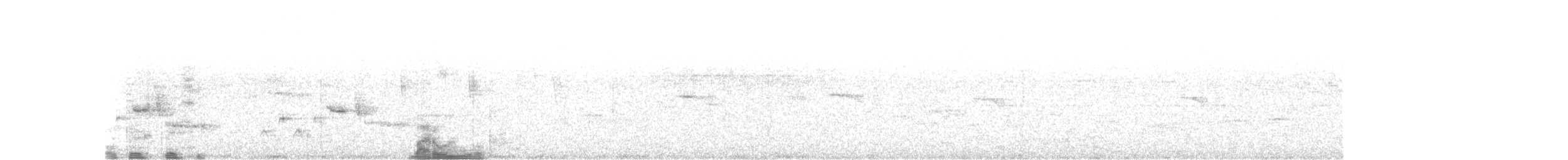 Белокрылый крапивник - ML72664031