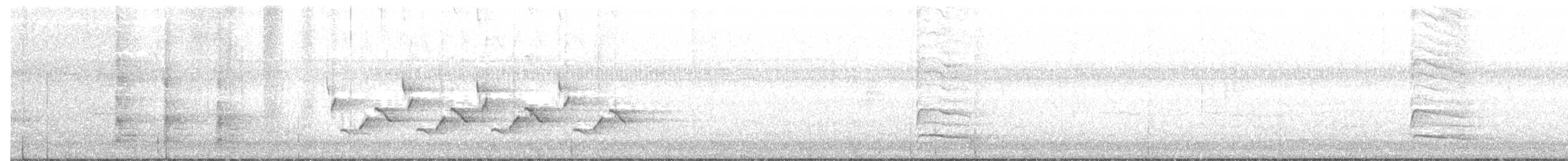 Каролинский крапивник - ML72702631