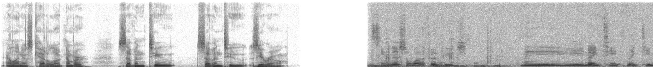 Common Loon - ML72720