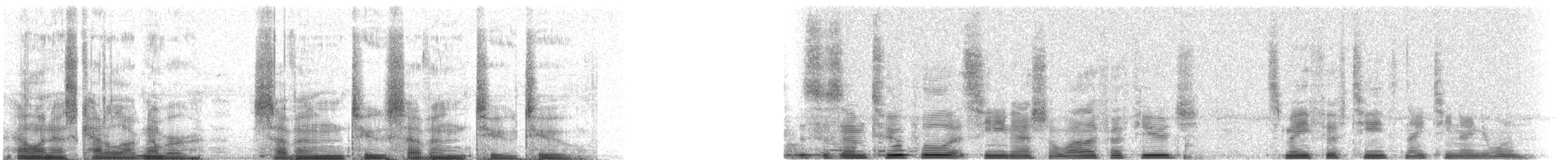 Common Loon - ML72722