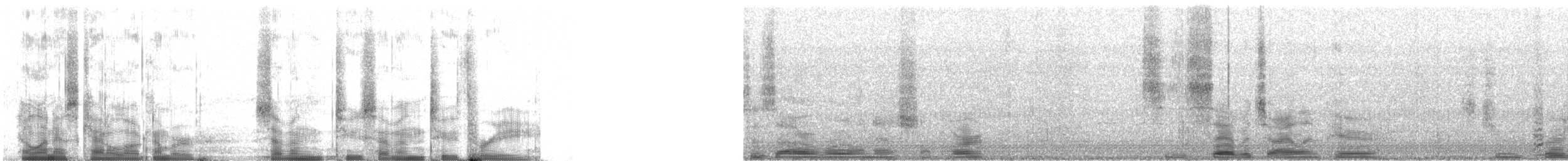 Common Loon - ML72723