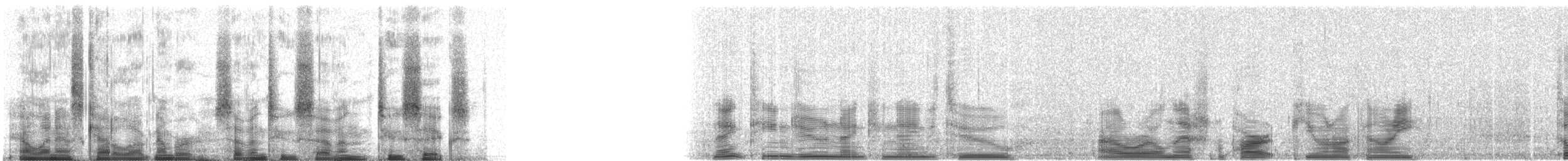 Common Loon - ML72726