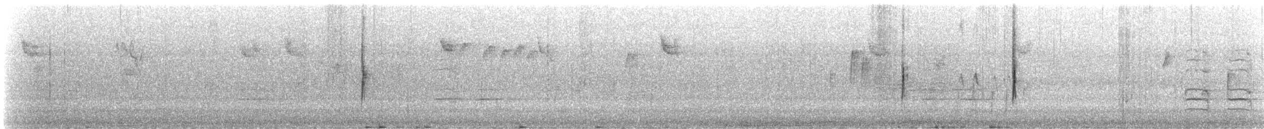 キヅタアメリカムシクイ（coronata） - ML72727321