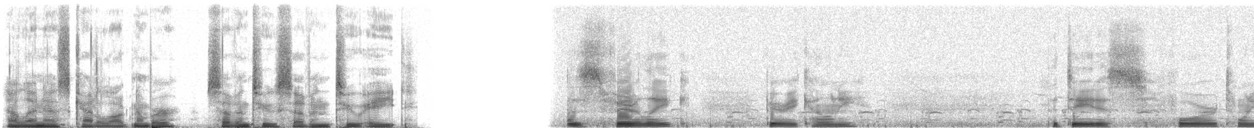 Common Loon - ML72728