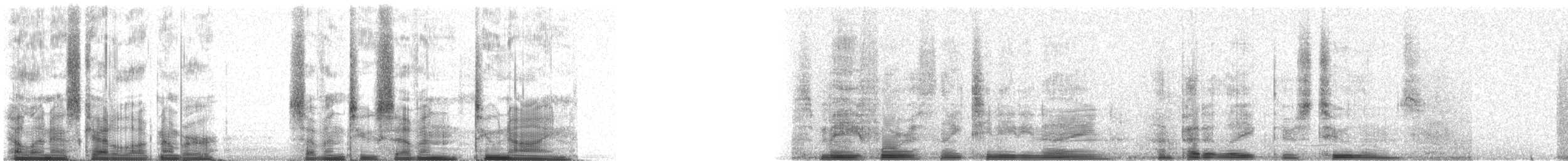 Common Loon - ML72729