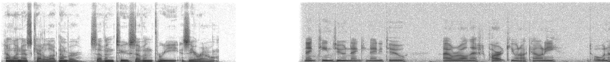 Common Loon - ML72730