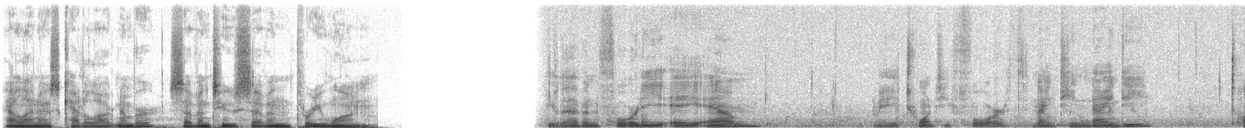 Common Loon - ML72731