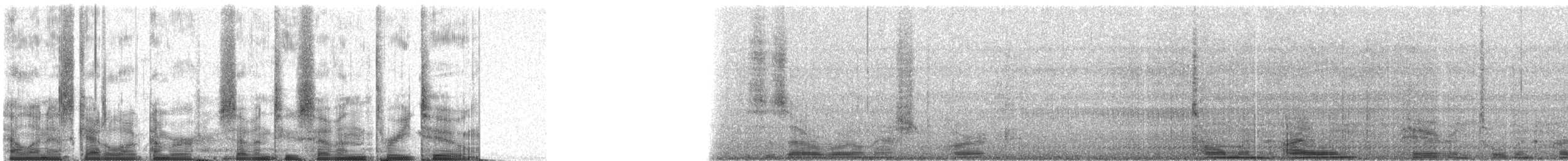 Common Loon - ML72732