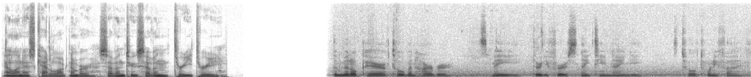 Common Loon - ML72733