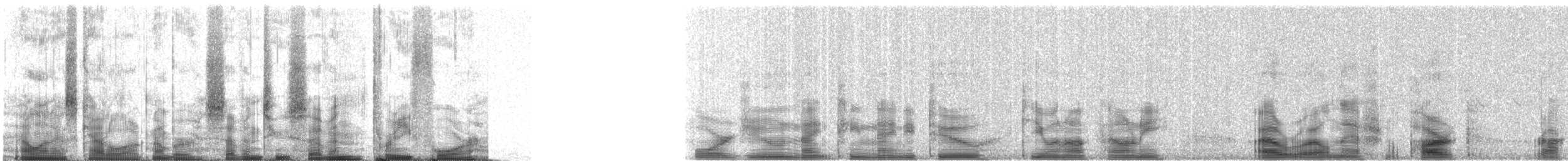 Common Loon - ML72734