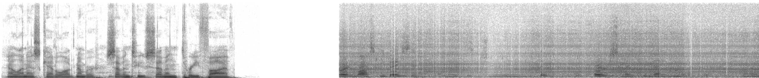 Common Loon - ML72735