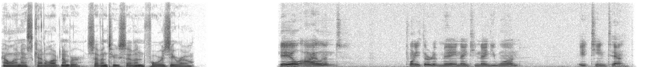 Common Loon - ML72740