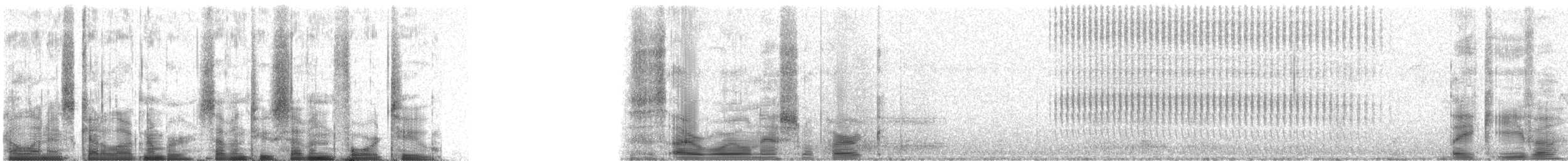 Common Loon - ML72742