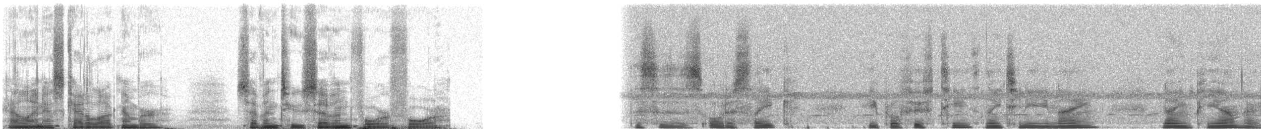 Common Loon - ML72744