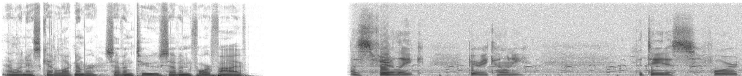 Common Loon - ML72745